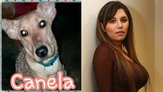 Lady Guillén: programa es denunciado por ‘adoptar’ perro y abandonarlo 