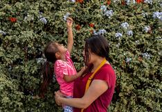 ¿Cómo brindar soporte emocional a familias en enfermedades complejas en menores?