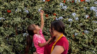 ¿Cómo brindar soporte emocional a familias en enfermedades complejas en menores?