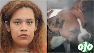 Mujer le disparó a un perro pero hirió a su hijo de un balazo | VIDEO
