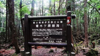 ¿Sabes de Aokigahara, el bosque de los suicidas? Entérate aquí 
