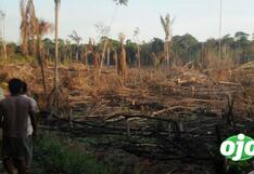 Ley Forestal:¿A qué se debe su polémica promulgación y por qué pondría en riesgo los territorios indígenas?
