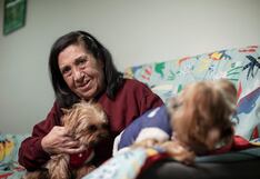 Día Mundial del Perro: La mitad de los hogares peruanos tiene al menos uno