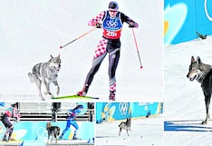 Perro lobo se mete a pista, corre con atletas y cruza la meta en olimpiadas