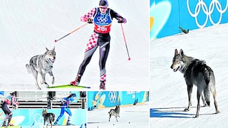 Perro lobo se mete a pista, corre con atletas y cruza la meta en olimpiadas