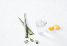 Aloe Vera: conoce sus beneficios y cómo hacer una elección segura