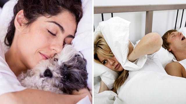 Mujeres concilian mejor el sueño con sus mascotas que con sus parejas