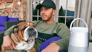 Lewis Hamilton convierte en vegano a su perro y este cura sus males