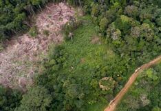 “Perú Remedia 2023″: desafíos regionales para recuperar nuestra Amazonía