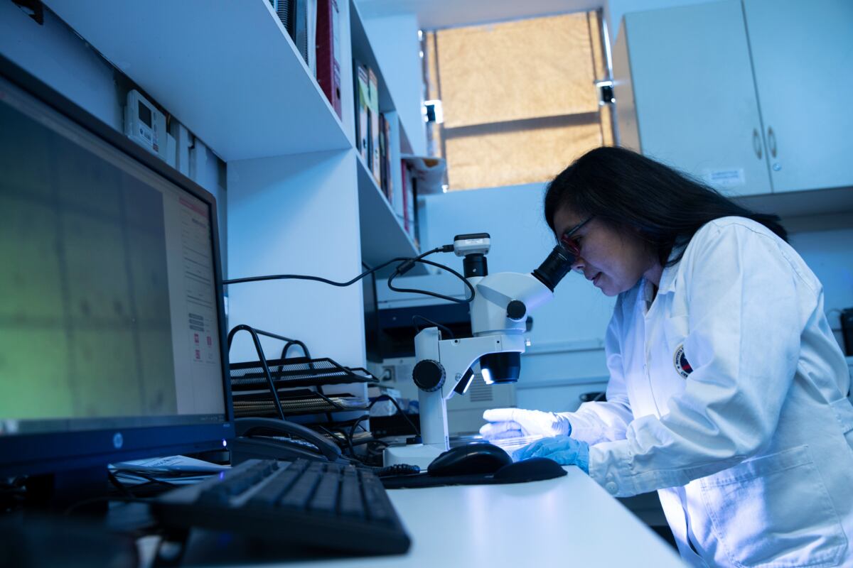 Campaña busca que más mujeres se interesen por estudiar carreras de ciencia y tecnología en el país. (Foto: referencial / GEC)