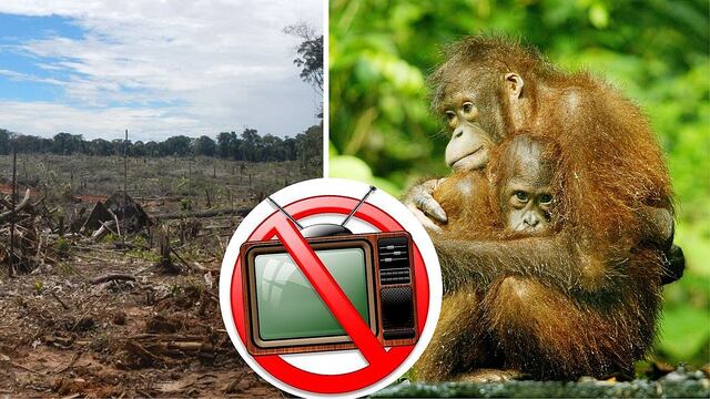 Prohíben comercial navideño en televisión por contener mensaje ecologista 