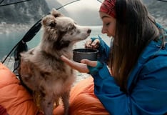 Viaje tranquilo con su mascota