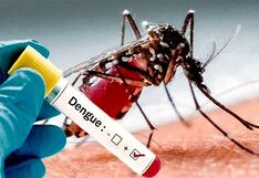 Mosquito del dengue se vuelve “indestructible” por culpa de seres humanos