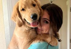 Un perrito de ayuda emocional hace ganar la corona de belleza a una joven que padece epilepsia