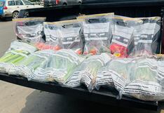 Nutricionistas alertan sobre el alto contenido de agrotóxicos en verduras