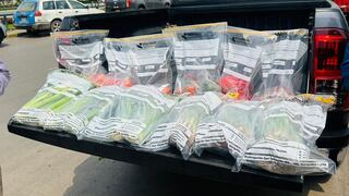 Nutricionistas alertan sobre el alto contenido de agrotóxicos en verduras