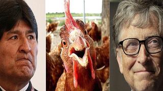 Bolivia se ofende y rechaza 100.000 gallinas que Bill Gates les regaló 