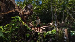 Por la Amazonia: Conoce las #Consecuencias de los delitos ambientales en el Perú 