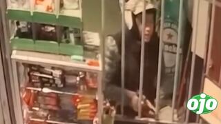 Delincuente asaltó tres casas de apuestas en menos de un mes en Comas (VIDEO)