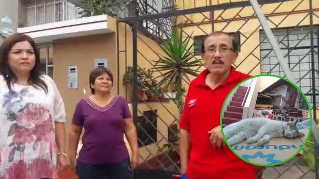 Disparan a joven en Pueblo Libre al robarle y bala mata a gatita (VIDEO)