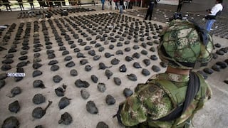 Colombia: Ejército destruye "el más grande centro" de acopio de coca de FARC