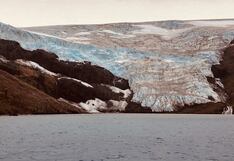 Antártica se deshiela y se pone verde debido al acelerado cambio climático
