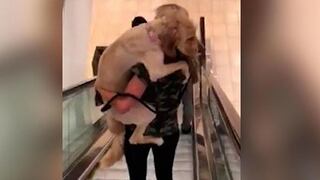 Perro se asusta en centro comercial y su dueña lo rescata