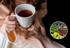 Beneficios de las infusiones en época invernal