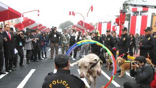 Fiestas Patrias: Policía Canina es la atracción de la Parada Militar [VIDEO-FOTOS] 