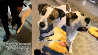 Policía le invita dos panes a un perrito de la calle que le pidió ‘con respeto’ un poco de comida