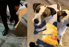 Policía le invita dos panes a un perrito de la calle que le pidió ‘con respeto’ un poco de comida