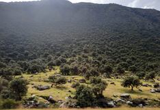 Ayacucho: invertirán más de S/ 32 millones para recuperar ecosistemas críticos para el agua