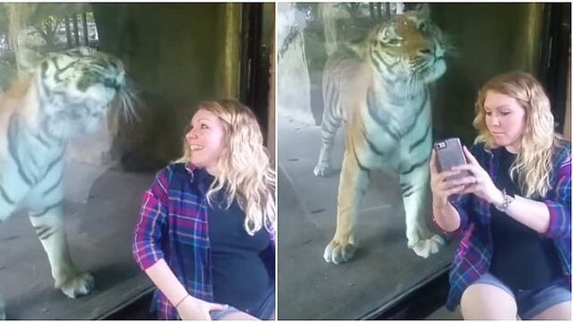 Embarazada quiso un "selfie" con un tigre y lo que pasó después fue realmente hermoso