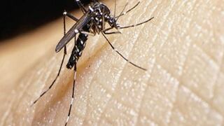 Dengue está en descenso, afirman autoridades de salud