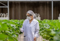 ¿Qué ocurre antes de que los alimentos lleguen a nuestra mesa?