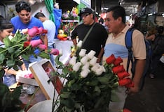 San Valentín: Tulipanes, rosas y girasoles son las flores más pedidas