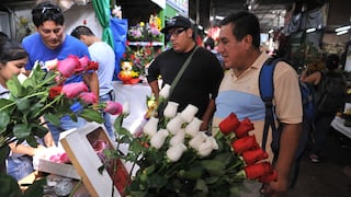 San Valentín: Tulipanes, rosas y girasoles son las flores más pedidas