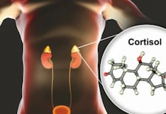 Comer para vivir: La hormona que gestiona tu energía diaria