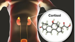 Comer para vivir: La hormona que gestiona tu energía diaria
