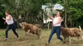 Mujer terminó con un tremendo dolor de espalda por molestar a un carnero