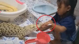 Niña le cepilla los dientes a un cocodrilo sin miedo (VIDEO)