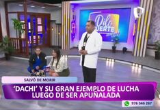 Lady Guillén se quiebra de emoción por recuperación de Dachi, perrito que fue apuñalado por su dueño (VIDEO)