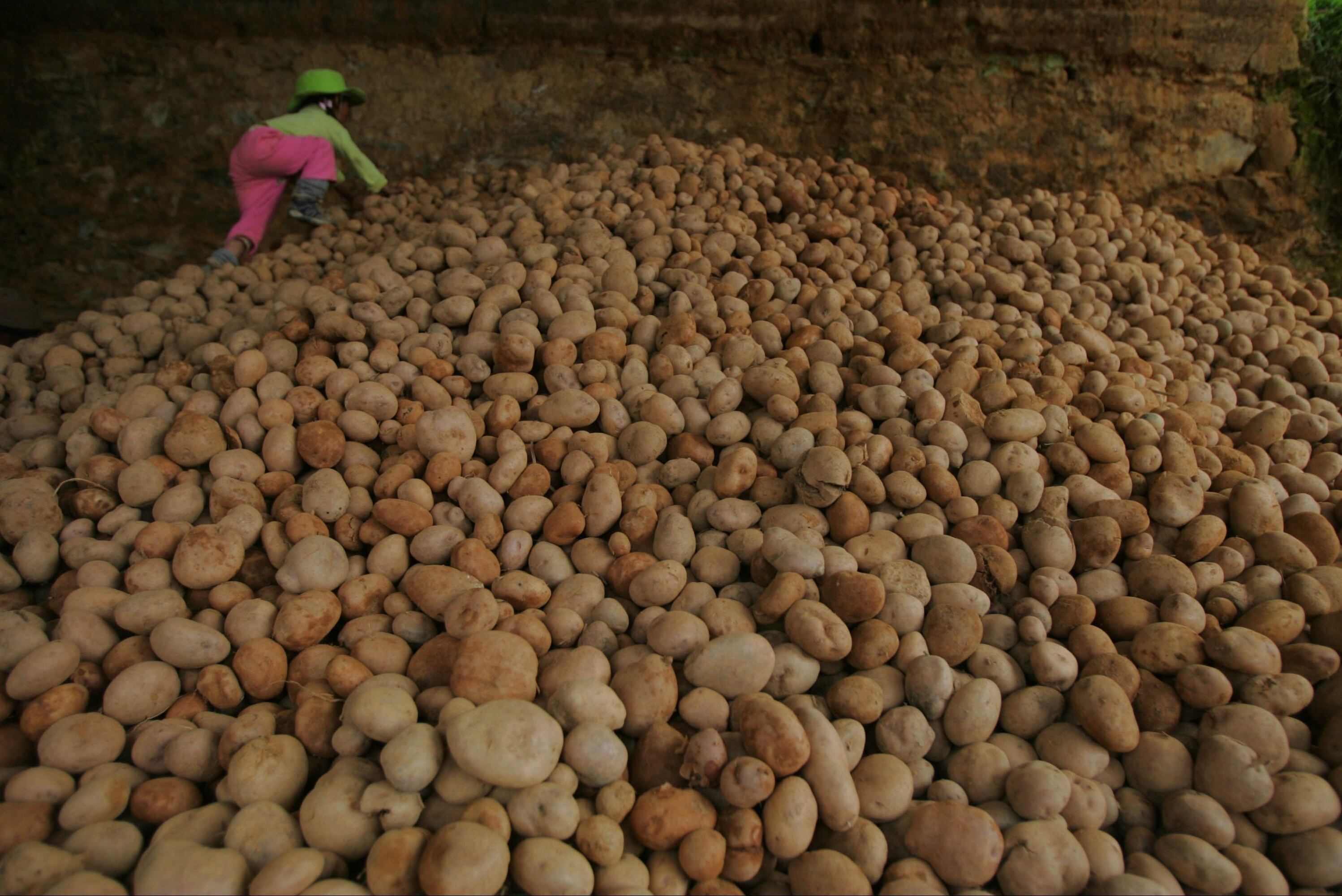 En 13 distritos en Huancavelica, Apurímac, Cusco y Puno.