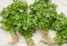 Comer para vivir: Vitaminas poderosas del culantro