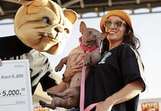 Petunia es el perro más feo del mundo y su dueña se lleva 5 mil dólares