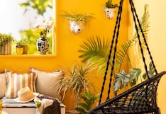 Tres consejos para embellecer tu terraza este verano