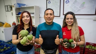 Las paltas y chirimoyas peruanas buscan conquistar el mundo con su sabor único y natural