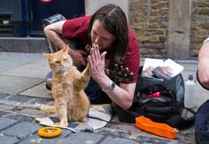 Gatito lo hizo millonario, pero volvió a ser pobre a la muerte del felino