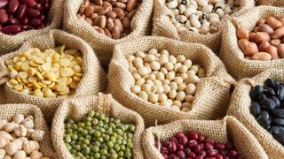 Comer para vivir: Importancia de las legumbres en la dieta
