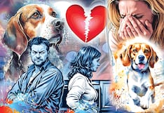 Nos vamos a separar y peleamos por el perro (CASOS DEL CORAZÓN)